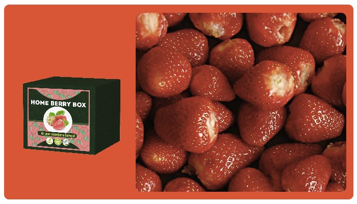 Home Berry Box Ako používať produkt? Ako používať?