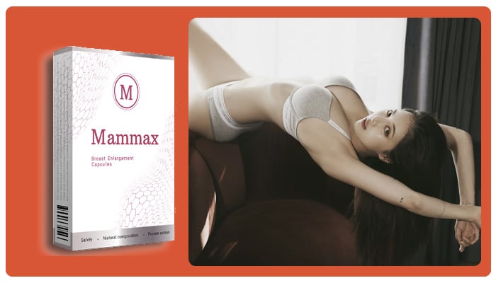 Mammax Ποια είναι η σύνθεση του προϊόντος