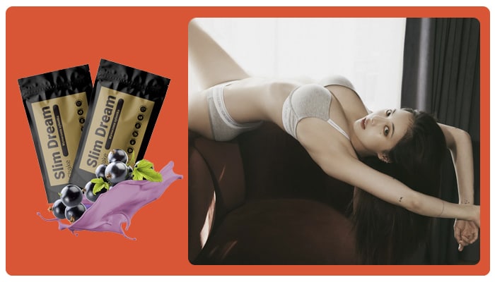 Slim Dream Shake Какъв е съставът на продукта? Компоненти